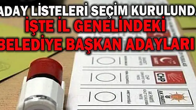 ADAY LİSTELERİ SEÇİM KURULLARINDA