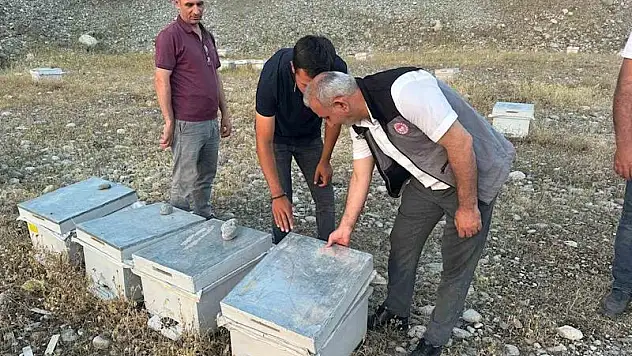 Arılı Kovan Dağıtımı Tamamlandı