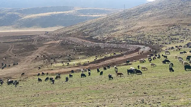 Artı Siirt Gündeme Getirdi! Valilik El Attı! Siirt'in En Büyük Gölü Yeniden Hayat Bulacak