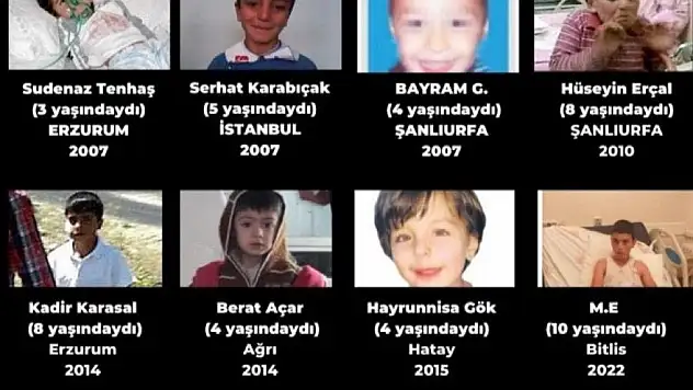 Av. Diyaeddin Temiz'in Kaleminden Sahipsiz Sorun, Çözüm Referandum!