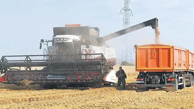 Avrupa'da Gıda Krizi Alarmı Çareyi Türkiye'de Görüyorlar