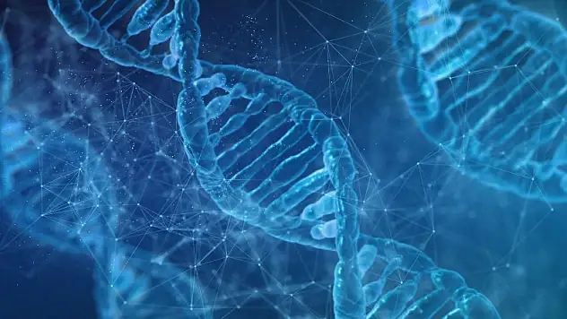 Ayak izi veya nefesten insan DNA'sı tespit edilebiliyor