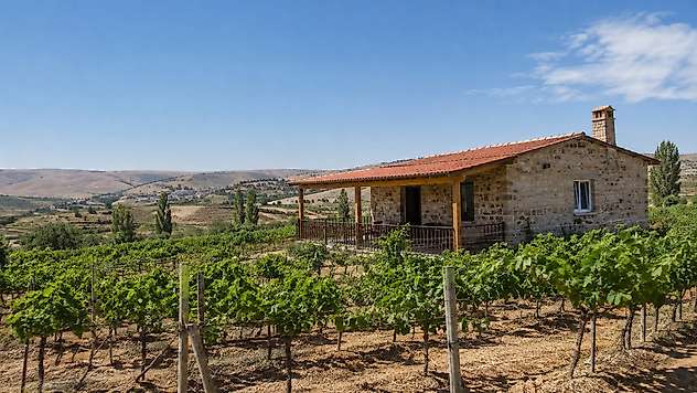 Bağ Evi Yapacaklara Yeni Düzenleme: Arazi Şartı 50 Bin Metrekareden 20 Bin Metrekareye Düştü