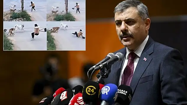 Bakan Çiftçi: Tüm sokak köpekleri barınaklara alınacak Siirt'te de benzer olay yaşanmıştı