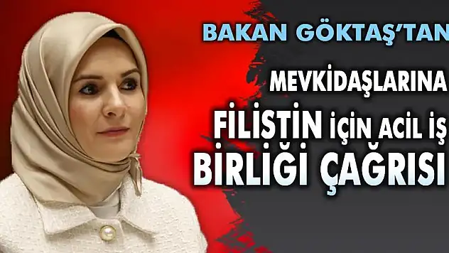 Bakan Göktaş'tan Mevkidaşlarına Filistin İçin Acil İş Birliği Çağrısı