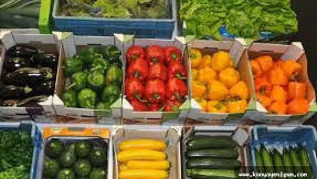 BATMAN ÇOCUK EVLERİ SİTESİ MÜDÜRLÜĞÜ GIDA ALIMI YAPACAK