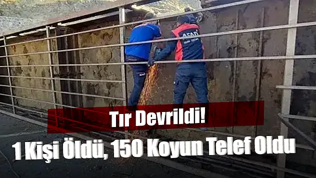 Baykan-Bitlis Yolunda  Devrilen Tır'ın Şoförü Yaşamını Yitirdi  Tır'daki Kurbanlıkların 150'si Telef Oldu