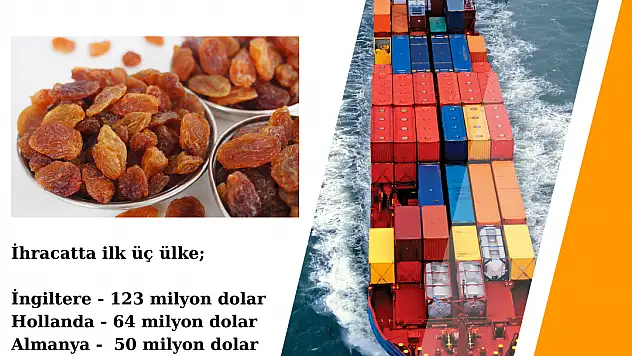 Çekirdeksiz Kuru Üzüm İhracatı 207 Bin Ton Oldu