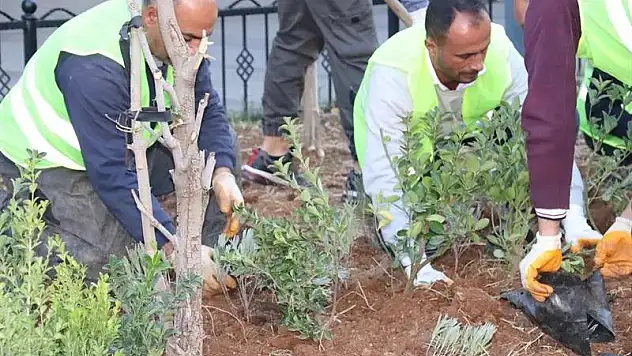 Daha Yeşil Bir Siirt İçin