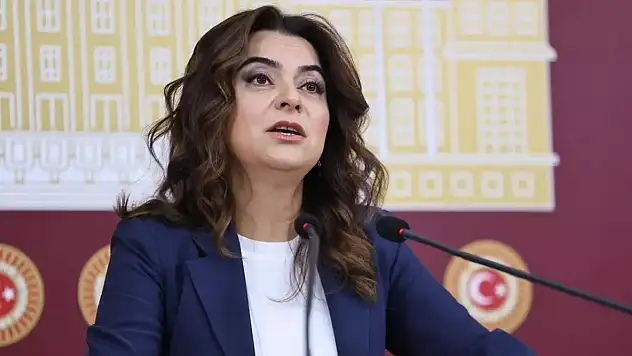 DEM Parti, Irak, Suriye ve Lübnan Tezkerelerine 'Hayır' Diyecek