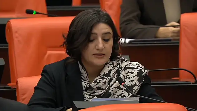 DEM Parti Siirt Milletvekili Sabahat Erdoğan Sarıtaş'tan Kezer Barajı Tepkisi: 'En Az 16 Köy Etkilenecek'