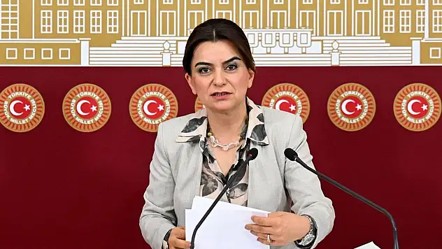 DEM Parti'den Demirtaş Açıklaması