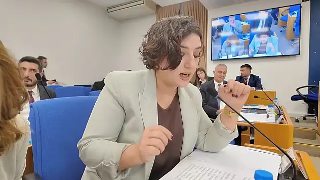 DEM Partili Sarıtaş'tan İnternet Altyapısı Eleştirisi: ''Türkiye Hızlanmıyor, Zamlanıyor''