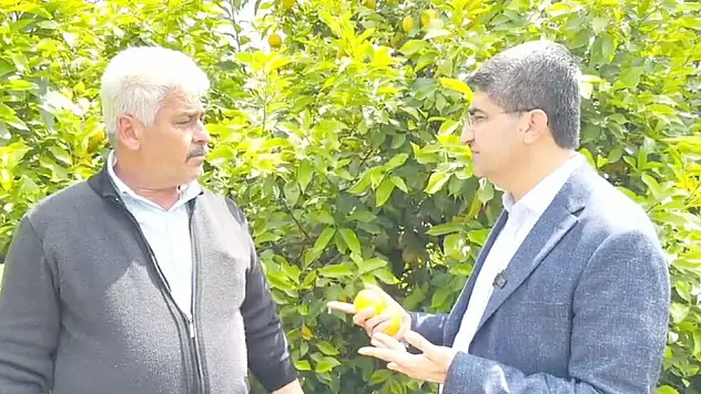 DEVA Partili Ekmen: 'Narenciye Bahçede Kalmadan Çözümleri Hayata Geçirin'   