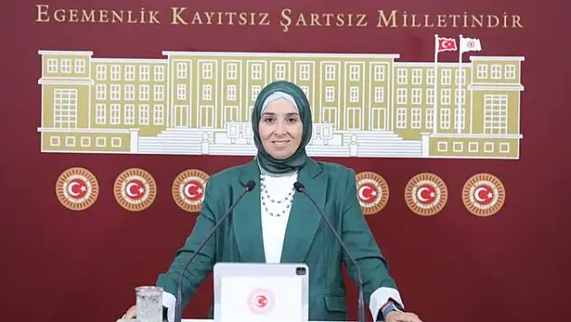 DEVA Partili Esen'den 17 Ağustos Depremi Açıklaması