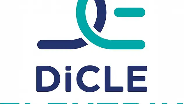 DİCLE Elektrik Yetkilileri 58 Milyonluk Kaçak Enerji Kullanımını Anlattı