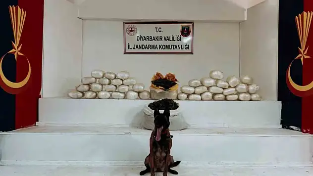 Diyarbakır'da 470 kilo skunk ve 85 kilo esrar ele geçirildi