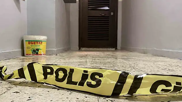 Diyarbakır'da bir şahıs anne ve ağabeyini yataklarında öldürdü