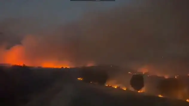 Diyarbakır'daki Orman Yangını Kontrol Altına Alındı: Siirt'ten Destek Gelmişti