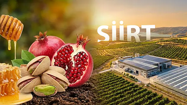 Doğudan Yükselen Bereket: Siirt Tarımda Büyük Atılım Peşinde