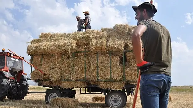 Dolu ve Aşırı Sıcaklar Rekolteyi Düşürdü  Hasat Mevsimi Boyunca Fıstık Bahçeleri  Hırsızlara Karşı Korumaya Alınmalı