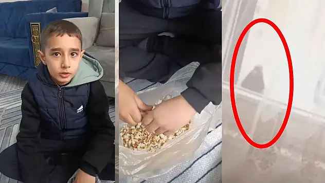 Duyarlı olalım! Siirt'te duyarlı minikler soğuk havada sokak hayvanlarını unutmadı