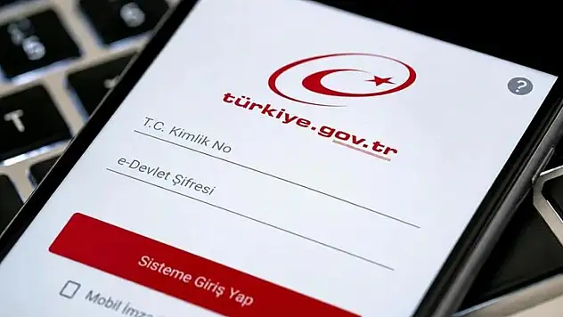 e-Devlet'e Giren Herkes Kontrol Etsin: Adınıza Şirket Açılmış Olabilir