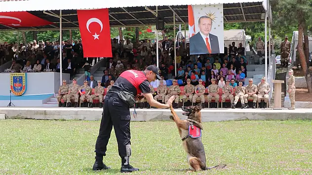 'Eğitimli Köpeklerin Gösterisi Nefes Kesti'
