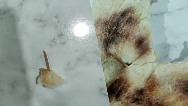 Ekmeğin İçinden Kürdan Çıktı!