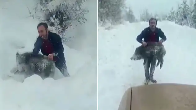 Eliyle domuz yakalayan kişiye 15 bin TL ceza kesildi