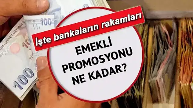 Emekli Hemşerilerimiz İçin Güncel Banka Promosyonlarını Derledik