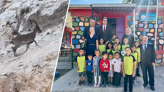 Eruh Dağlarında Sürpriz Karşılaşma: Siirt İl Milli Eğitim Müdürü Dağ Keçilerini Görüntüledi