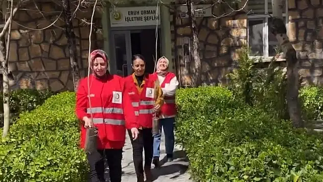 Siirt'te Eruh Kızılay Gönüllüleri Orman Haftası'nda Kütüphane Bahçesine Fidan Dikti