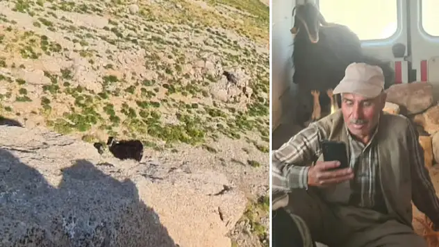 Eruh'ta Kayalıklarda Mahsur Kalan Küçükbaş Hayvanlar 9 Gün Sonra Kurtarıldı