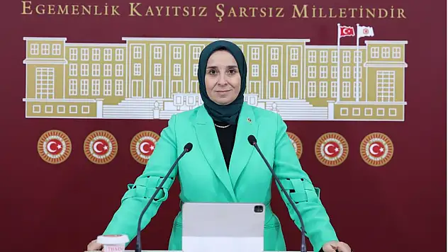 Esen: Sosyal Devlet Çöktü!