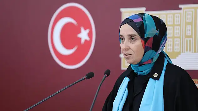 Esen: 'Temizlik Ürünlerinde KDV Oranı Düşürülmeli'