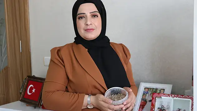 'Eşim Gibi Ben De Bir Kürt Olarak Vatanım İçin Şehit Olmaya Hazırım'