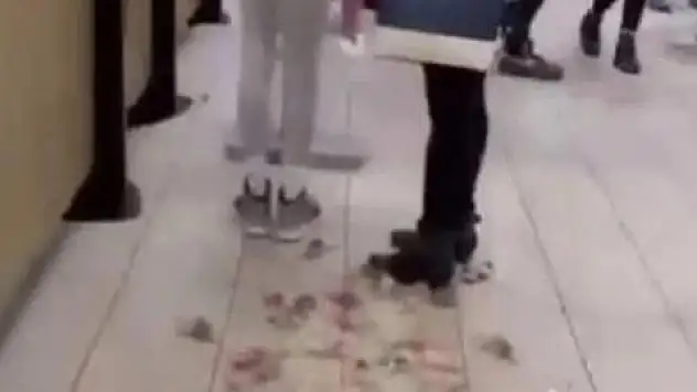 Filistin Destekçisi, Mcdonald's Şubesine Yüzlerce Canlı Fare Saldı: Müşteriler Kaçıştı