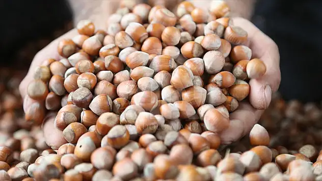 Fındık Alımında Olduğu Gibi Fıstık Alımında da TMD'nun Devreye Girmesi İstendi