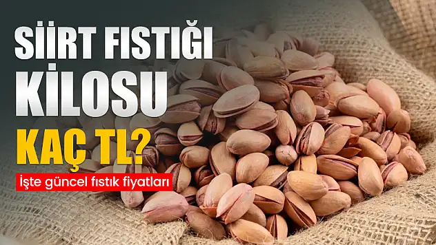 Fıstık Fiyatları Düştü