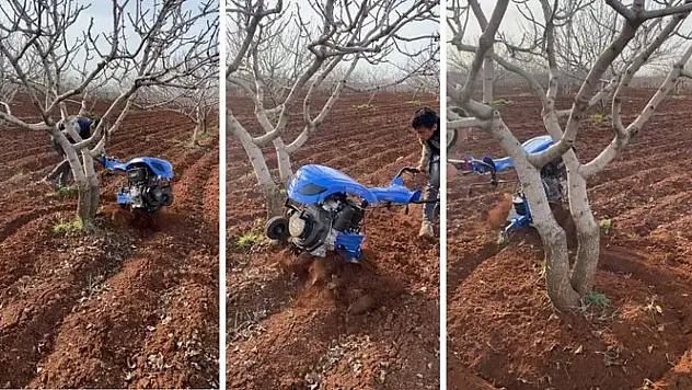 Fıstık üreticilerine Aralık ayında yapılması gerekenler hakkında uyarı yapıldı