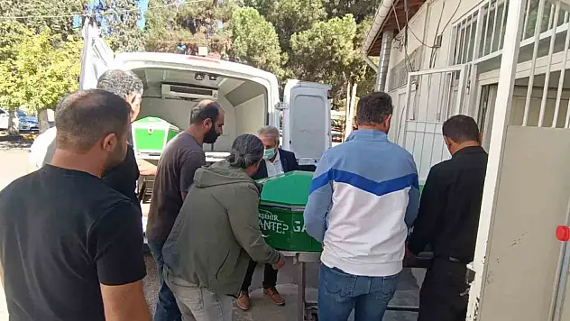 Park halindeki tıra çarpan otomobildeki 3 kardeşten 2'si öldü