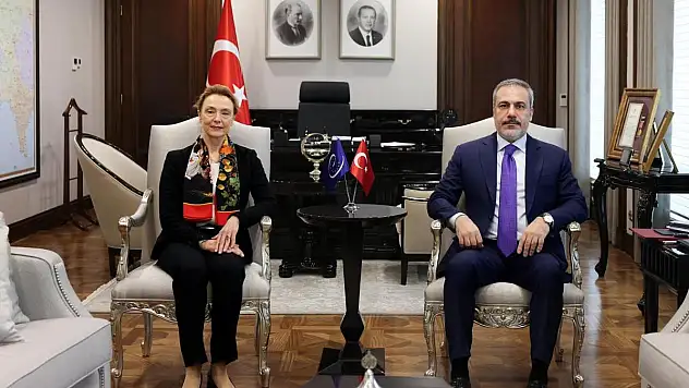 Hakan Fidan Avrupa Konseyi Genel Sekreteri İle Görüştü