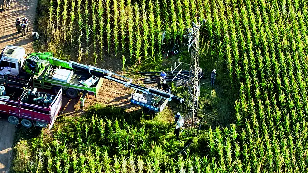 Hasat Bitti, Kaçak Trafolar Bitmedi