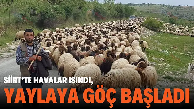 Havalar Isınınca Yaylaya Göçler Başladı