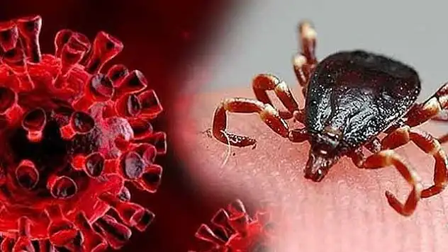 Havaların Isınması ile 'Kene Uyarısı' Yapıldı