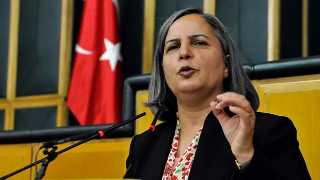 HDP'NİN CUMURBAŞKANI ADAYI SİİRT ESKİ MİLLETVEKİLİ Mİ OLACAK?