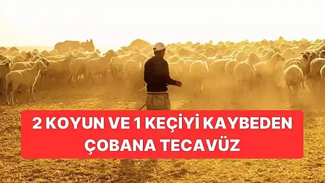 İki Koyun Bir Keçiyi Kaybettiği Gerekçesiyle Çobana Tecavüz Edildi!