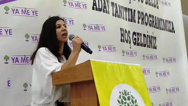 İL MERKEZİNDE YEREL SEÇİMLERİN GALİBİ HDP OLDU AMA 2014 SEÇİMLERİNE GÖRE OY KAYBETTİ