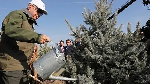 İlimizde Fidan Dikme Etkinliği Veyselkarani Beldesinde Gerçekleştirilecek